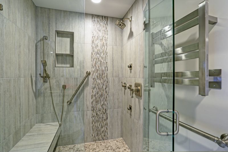Modern Shower Area